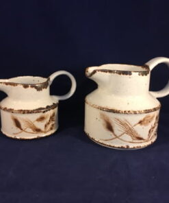 Wedgwood Midwinter Wild Oats roomkan