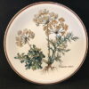 Villeroy en Boch - Botanica gebaksbord vlakke model Ø 15,5 cm, Carum carvi