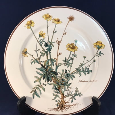 Villeroy en Boch - Botanica dinerbord 23,8 cm, Anthemis tinctoria (met worteltjes)