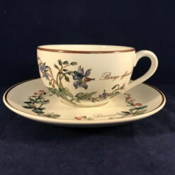 Villeroy en Boch Botanica theekop en schotel Borago officinalis Ø kopje 8,8 cm, hoog 5 cm (Douwe Egberts)