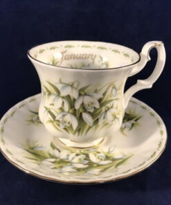 Royal Albert Flower of the month series dameskop en schotel 'January'