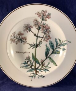 Villeroy en Boch Botanica diep bord Ø 22cm (met decor zonder worteltjes)