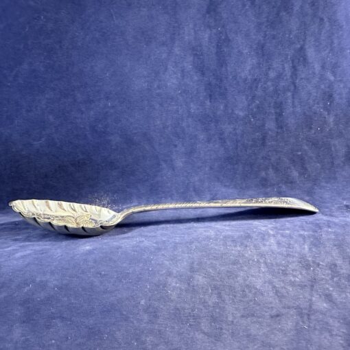 Verzilverde fruitlepel lang 18,5 cm - Afbeelding 2