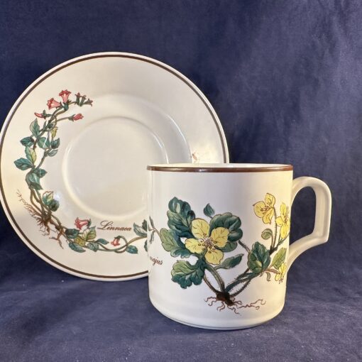 Villeroy en Boch Botanica koffiekop en schotel, Ø kop 6,8 cm, hoog 6,8 cm ( Chelidonium Majus) - Afbeelding 2