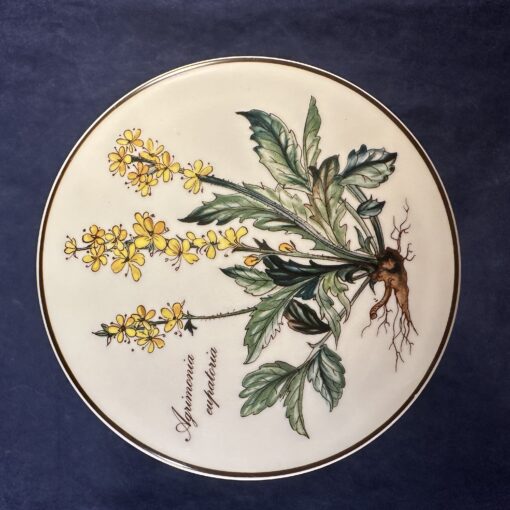 Villeroy en Boch - Botanica potje met deksel, hoog 6 cm, Ø 12 cm, Agrimonia eupatoria - Afbeelding 2