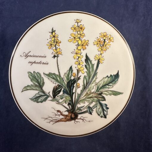 Villeroy en Boch - Botanica potje met deksel, hoog 6 cm, Ø 12 cm, Agrimonia eupatoria - Afbeelding 2