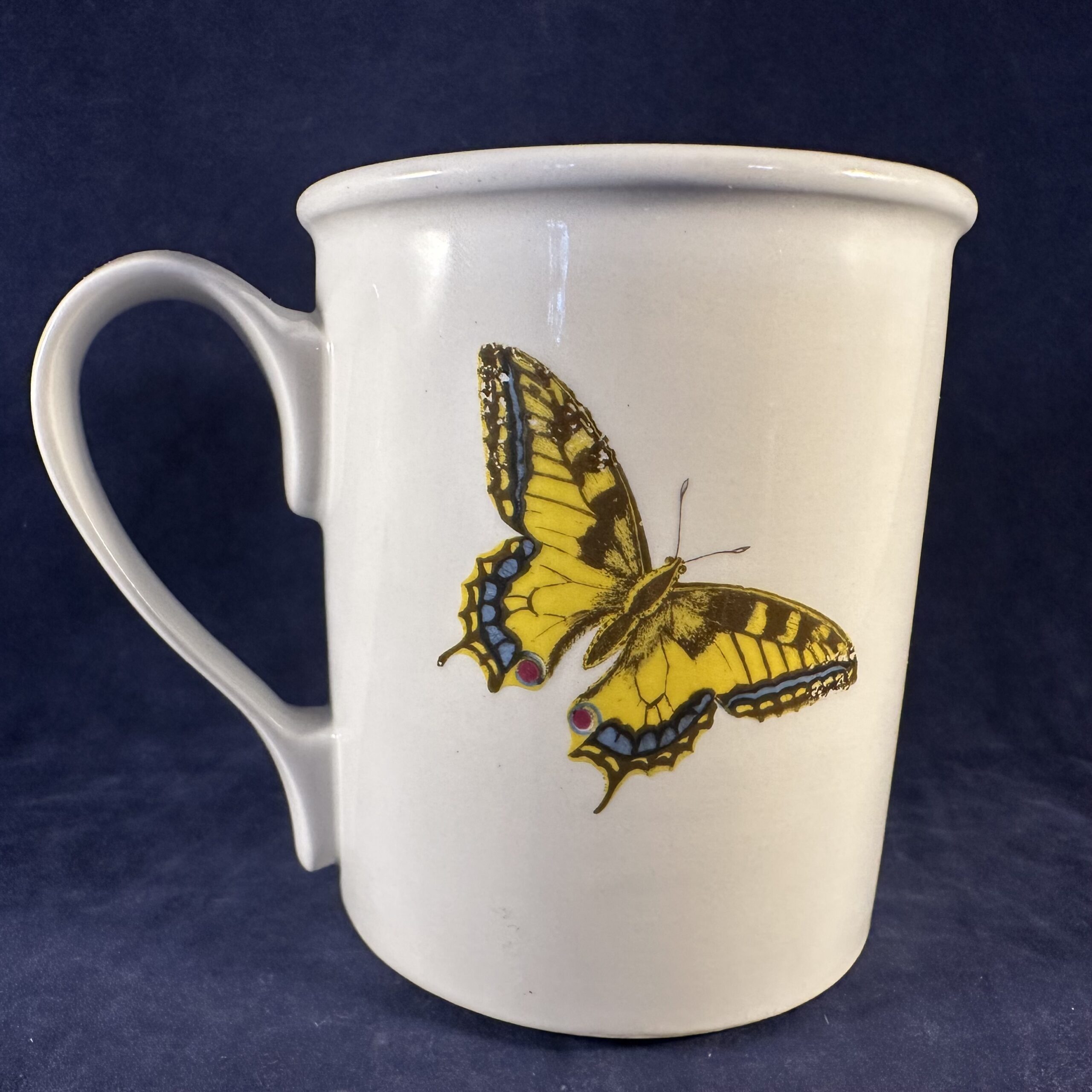 Portmeirion Botanic Garden mok met oor hoog 9 cm Ø 8 cm 'Veronica Chamaedrys/ Speedwell' - Afbeelding 2