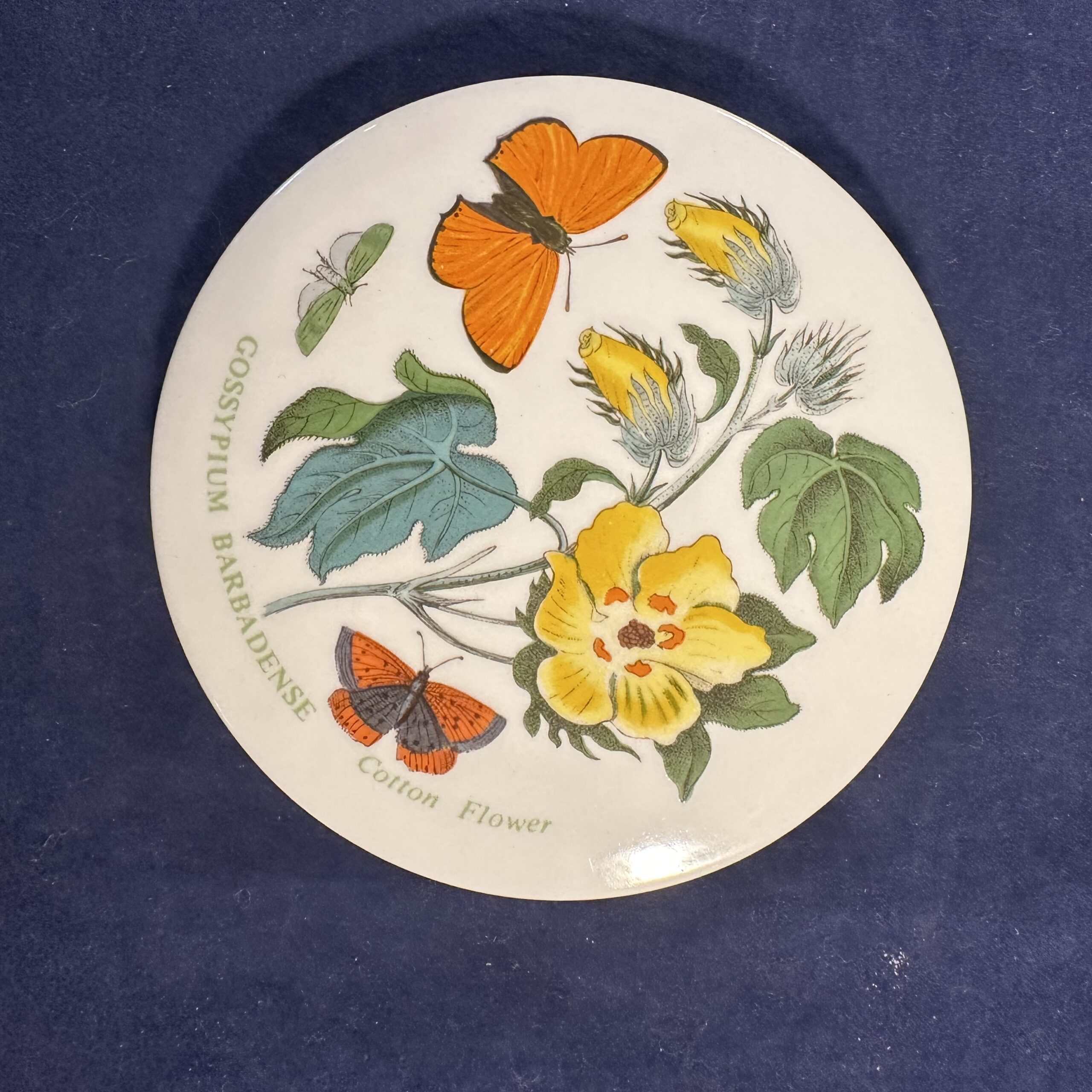 Portmeirion Botanic Garden deksel los Ø 9,8 cm