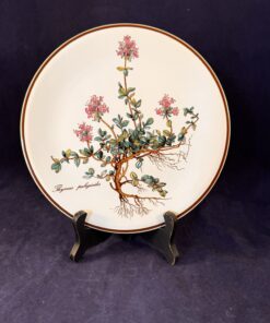 Villeroy en Boch - Botanica ontbijtbord Ø 20 cm, Thymus pulegioides