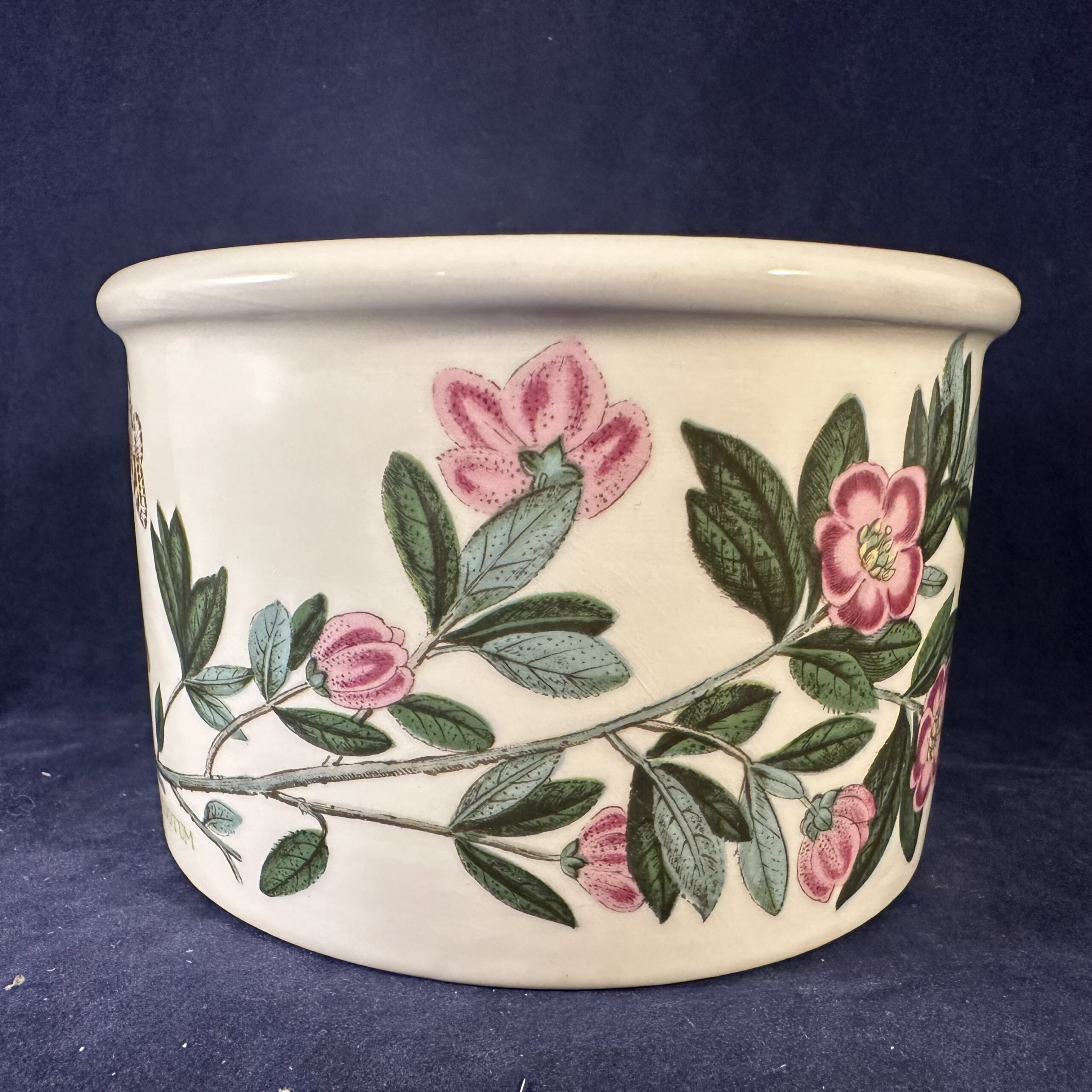 Portmeirion Botanic Garden bakje/ kommetje Ø 11 cm, hoog 6,8 cm - Afbeelding 5