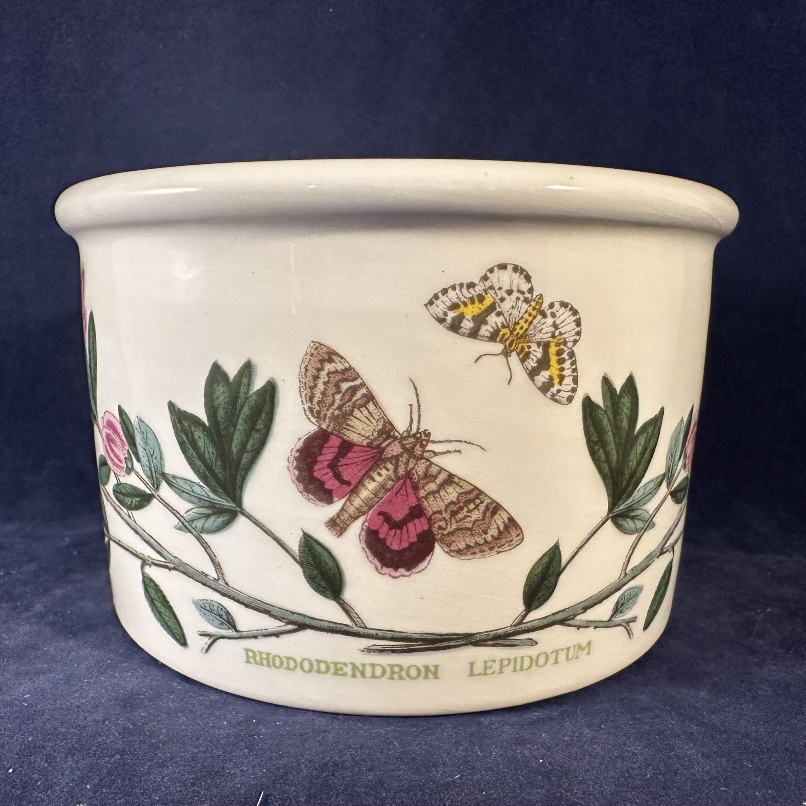 Portmeirion Botanic Garden bakje/ kommetje Ø 11 cm, hoog 6,8 cm