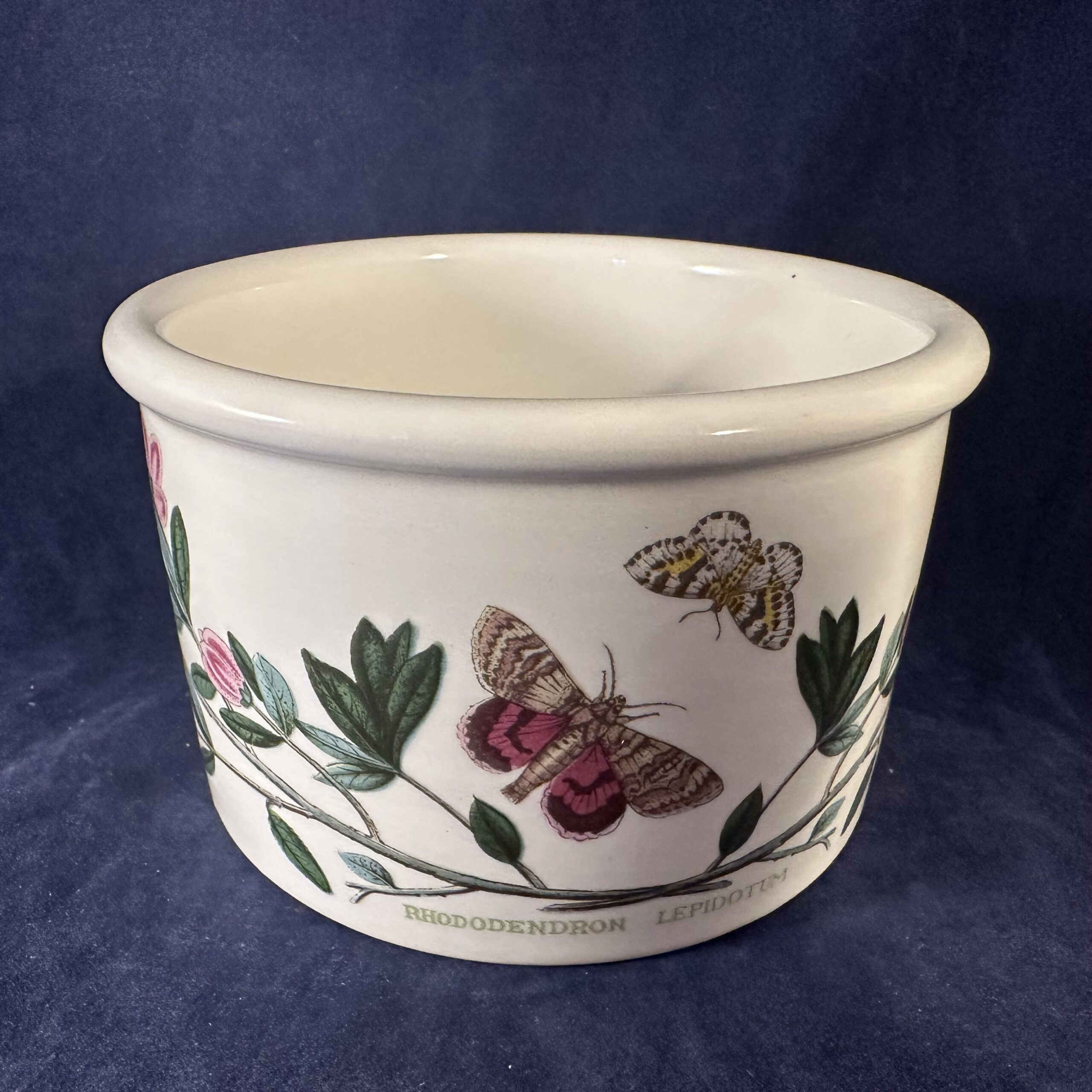 Portmeirion Botanic Garden bakje/ kommetje Ø 11 cm, hoog 6,8 cm - Afbeelding 3