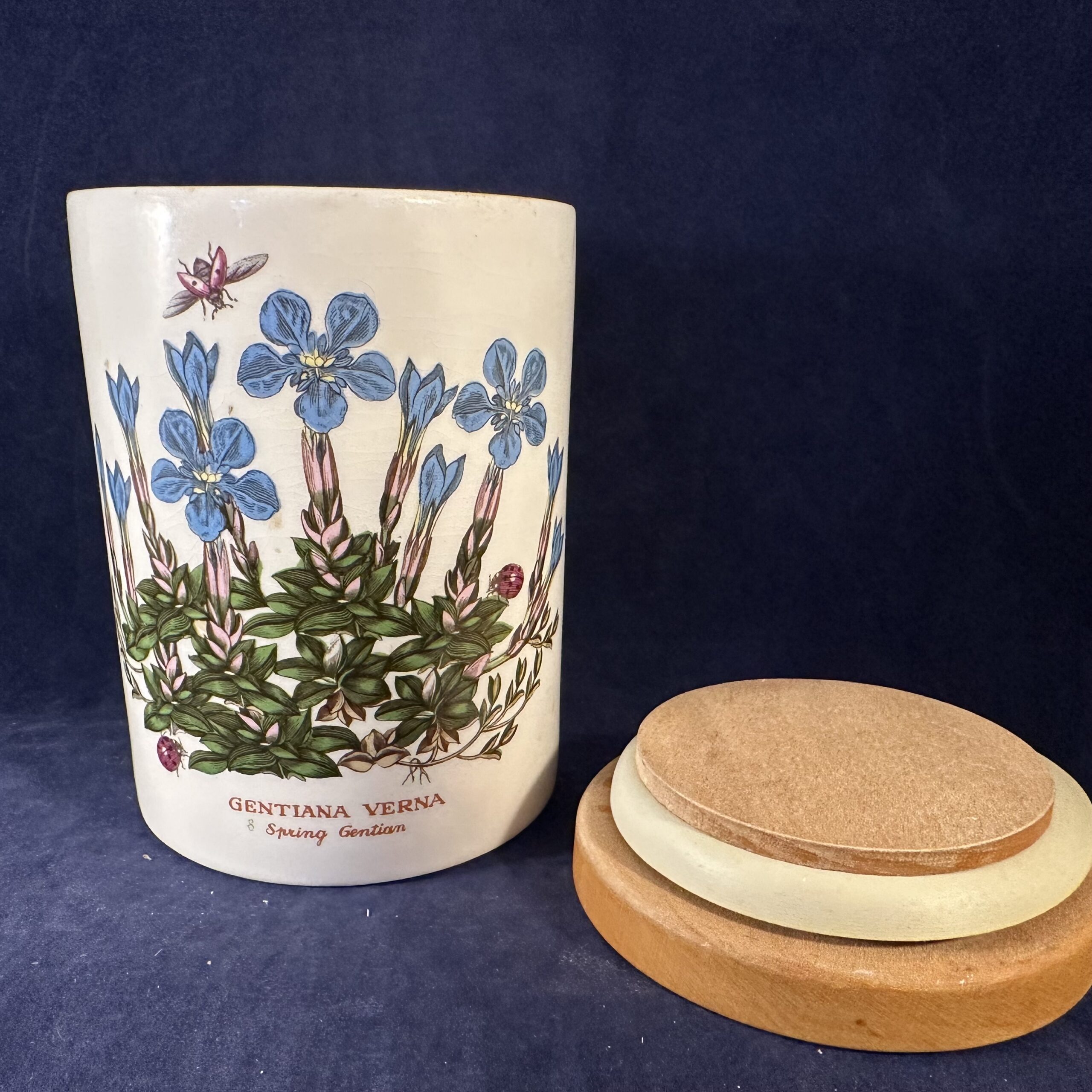 Portmeirion Botanic Garden voorraadpot/ voorraadbus met houten deksel, hoog 13,5 cm Ø 9 cm. 'Gentiana Verna' - Afbeelding 2