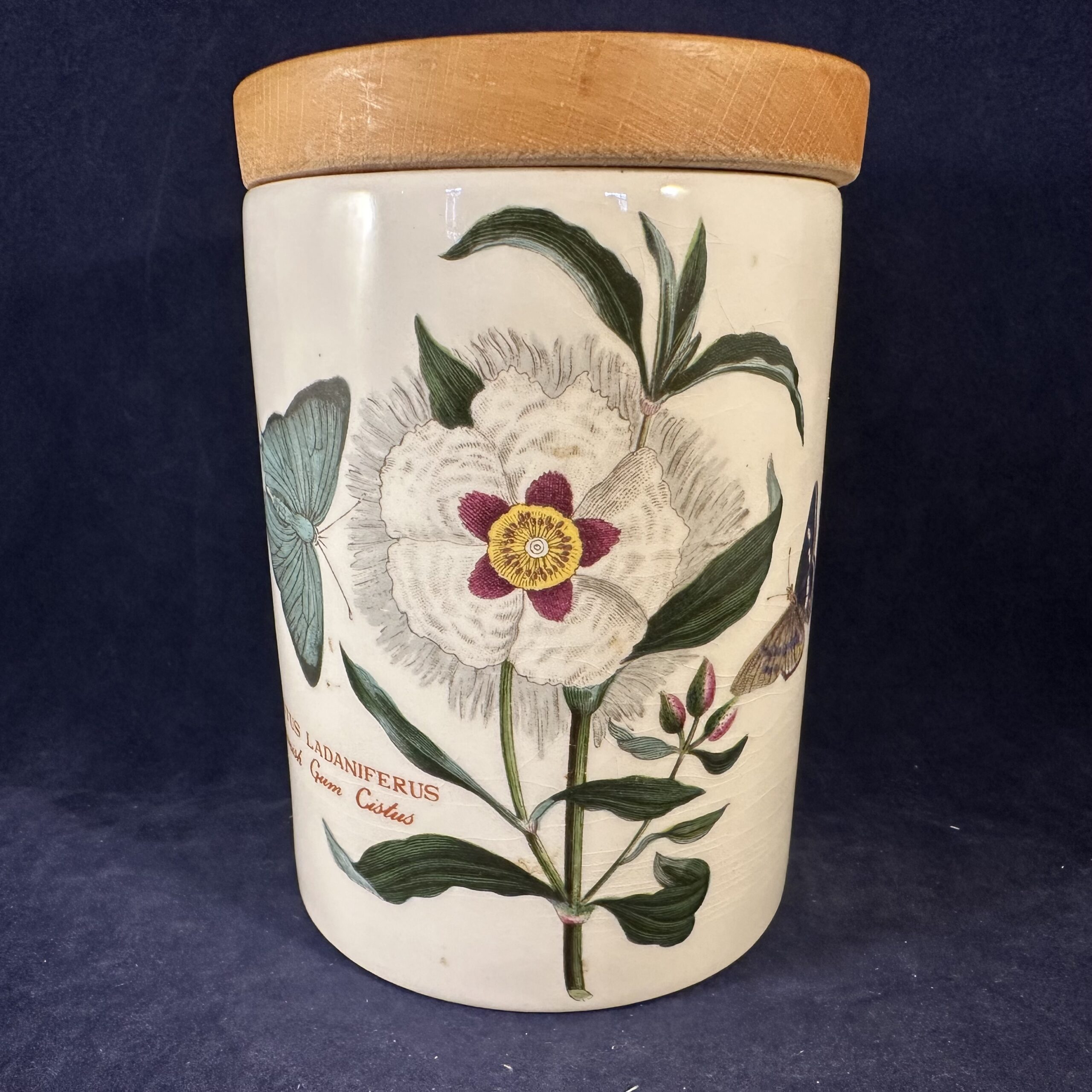 Portmeirion Botanic Garden voorraadpot/ voorraadbus met houten deksel, hoog 13,5 cm Ø 9 cm. 'Cistus Ladaniferus/ Spanish Gum Cistus