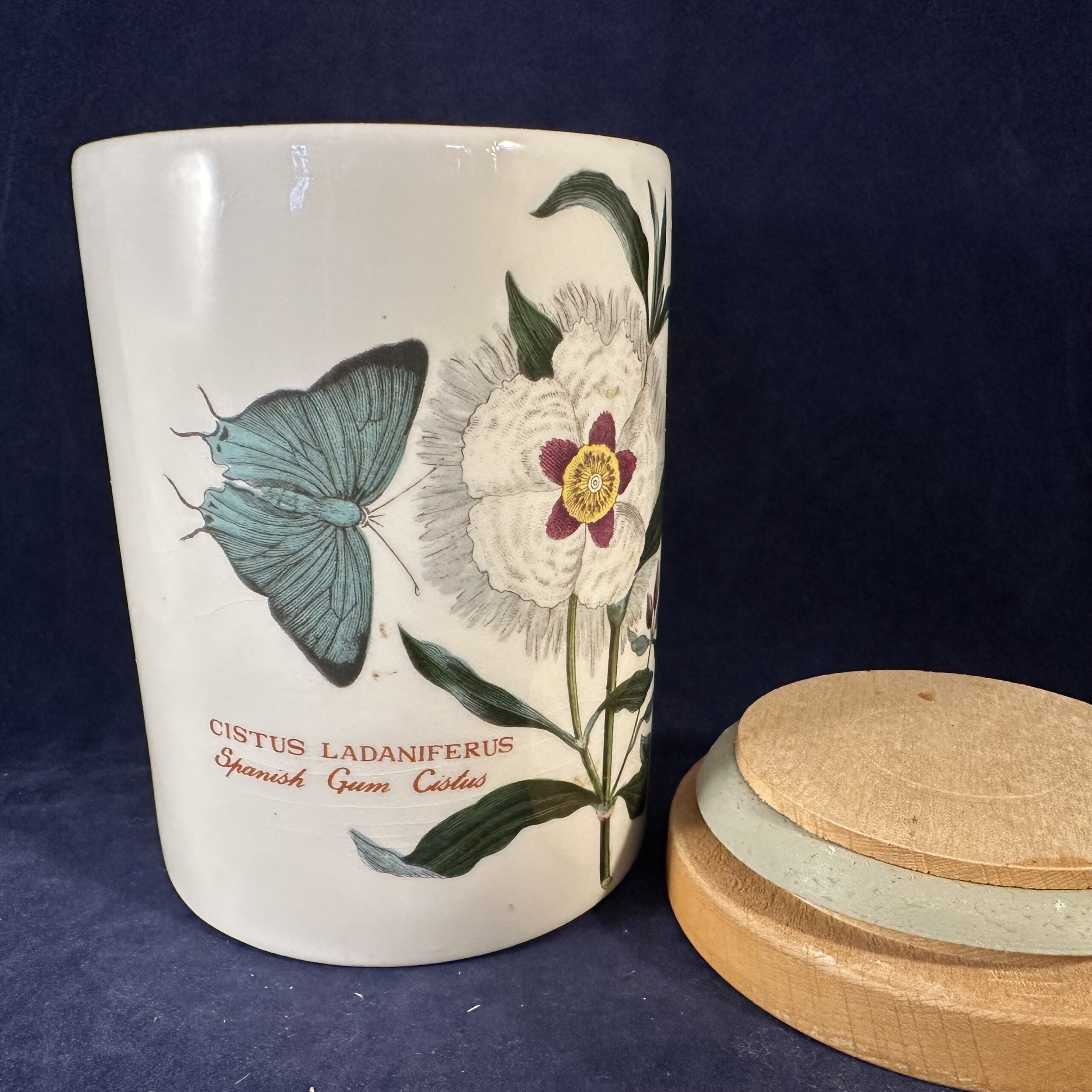 Portmeirion Botanic Garden voorraadpot/ voorraadbus met houten deksel, hoog 13,5 cm Ø 9 cm. 'Cistus Ladaniferus/ Spanish Gum Cistus - Afbeelding 2