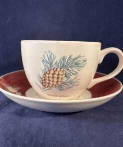 Wedgwood Sarah's garden grote kop met rode schotel, Ø kopje 9 cm hoog 6,3 cm