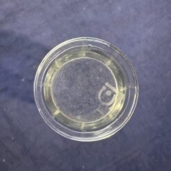 IMG 7339
